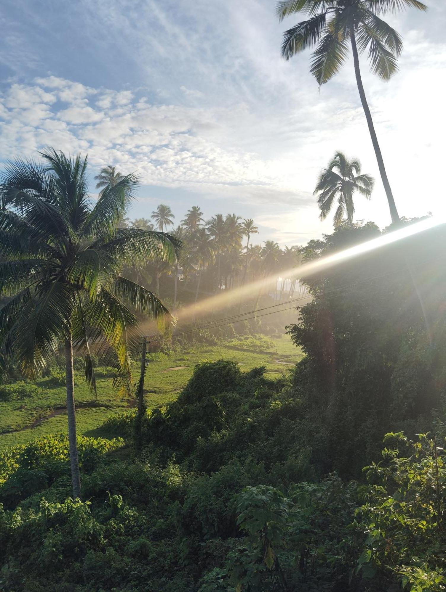 Joseph Dale Homestay Varkala Extérieur photo